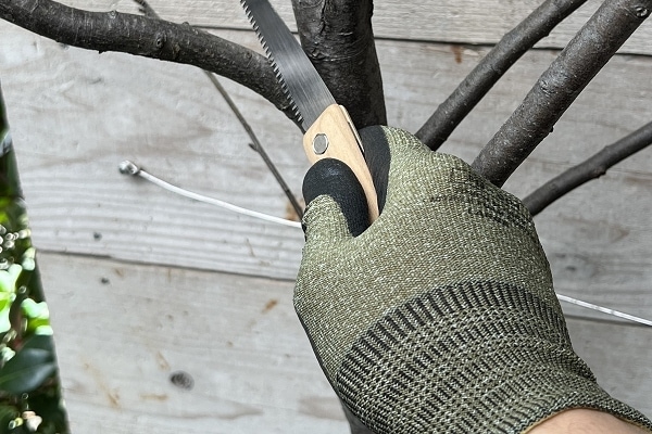 ���������������